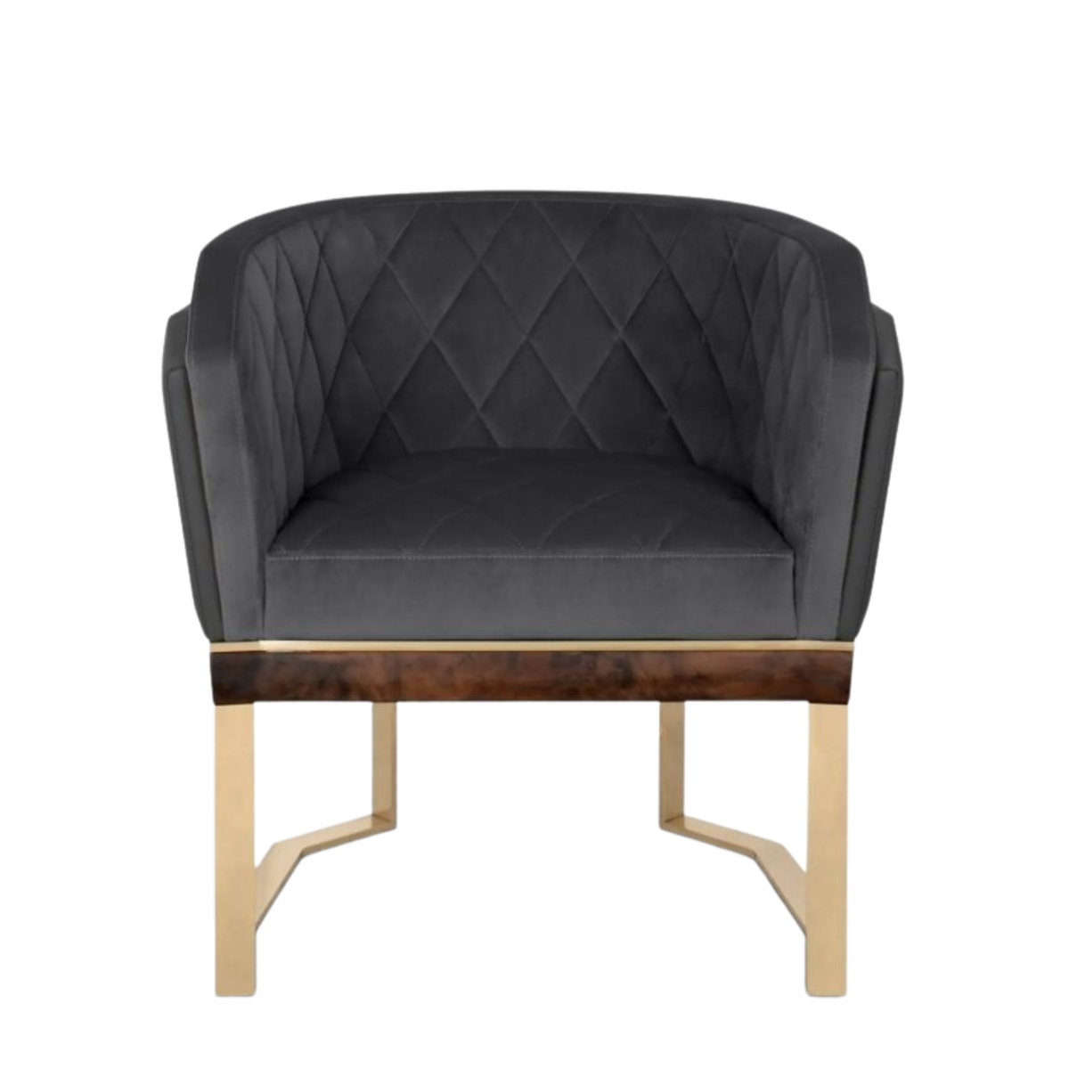 Anguis Modern Armchair