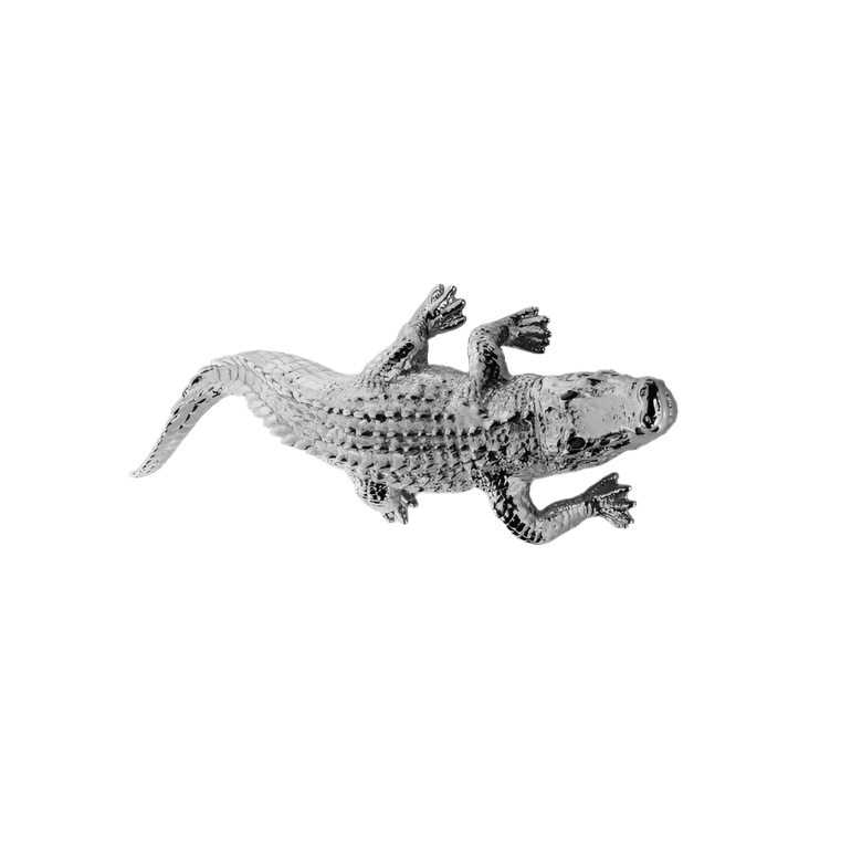 Crocodile LE4021