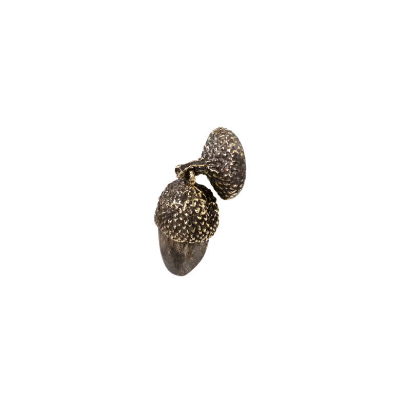 Acorn EA1041