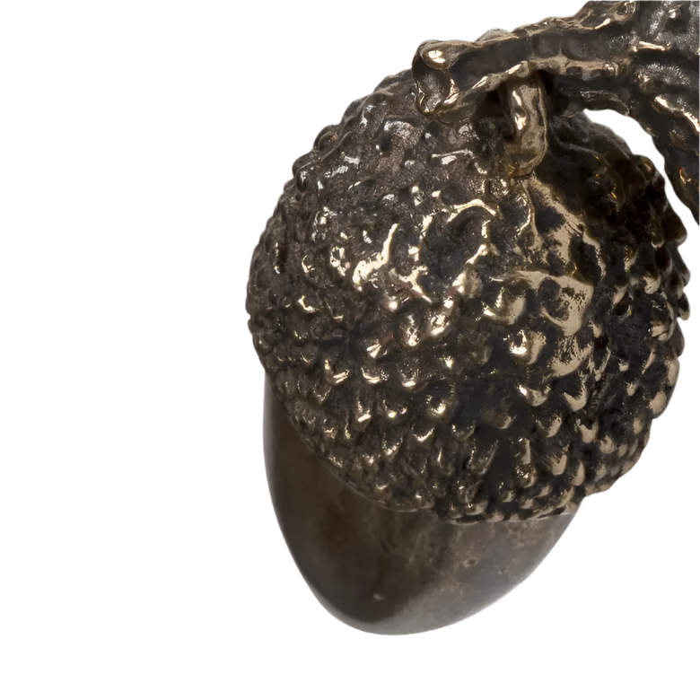 Acorn EA1041