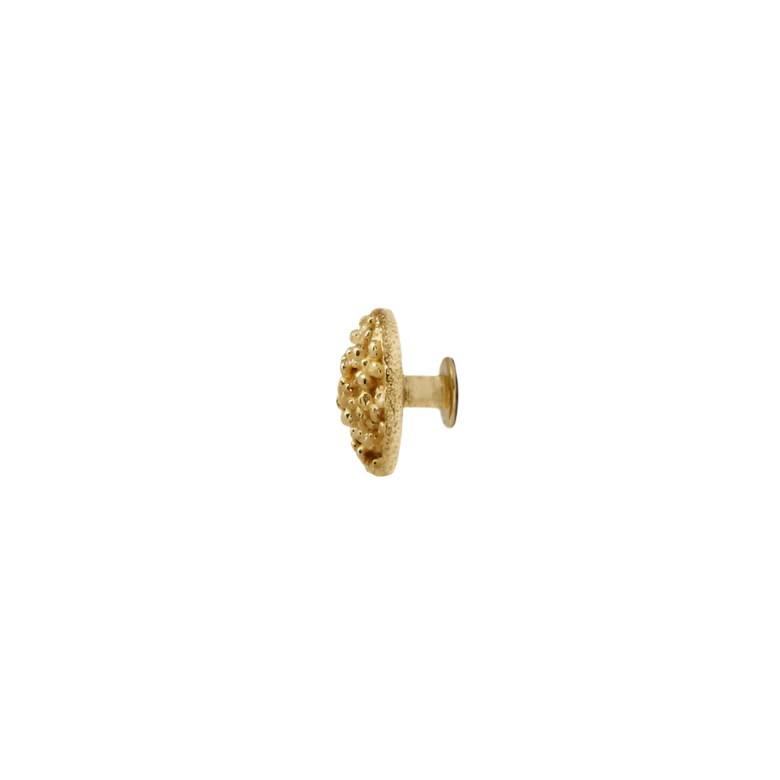 Caviar OC2007
