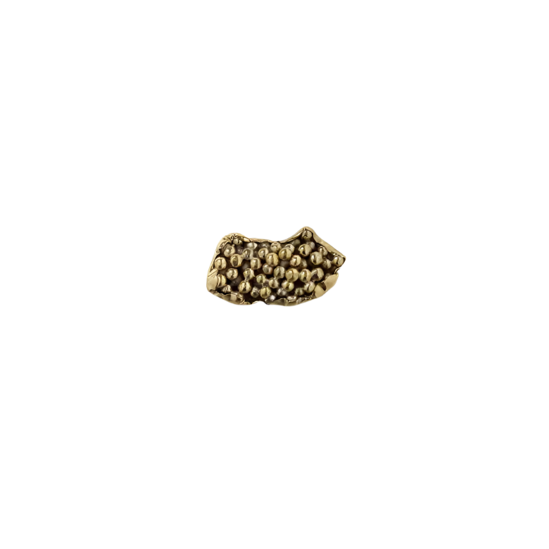 Caviar OC2023