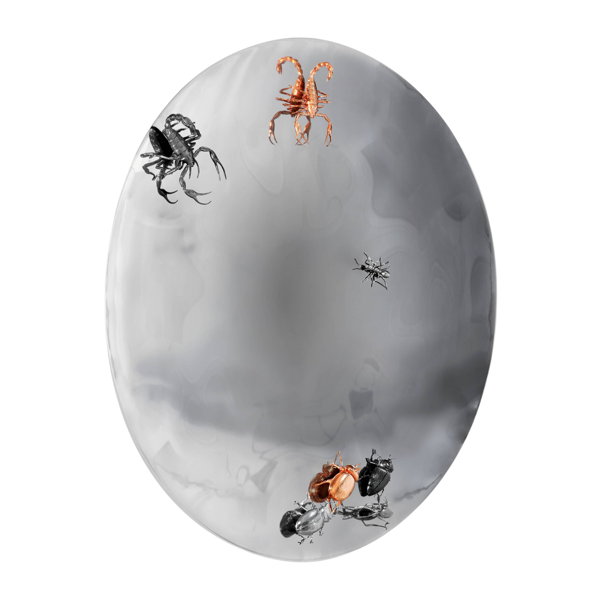 Concave Metamorphosis