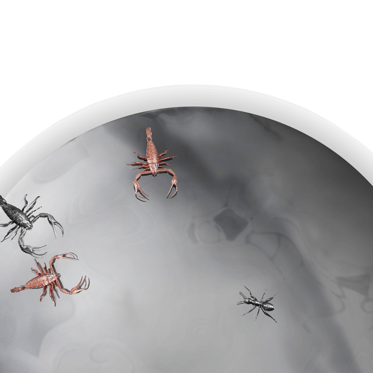 Concave Metamorphosis