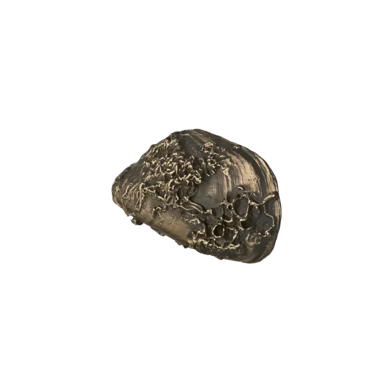 Coral OC2060