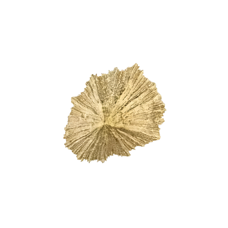 Limpet OC2049
