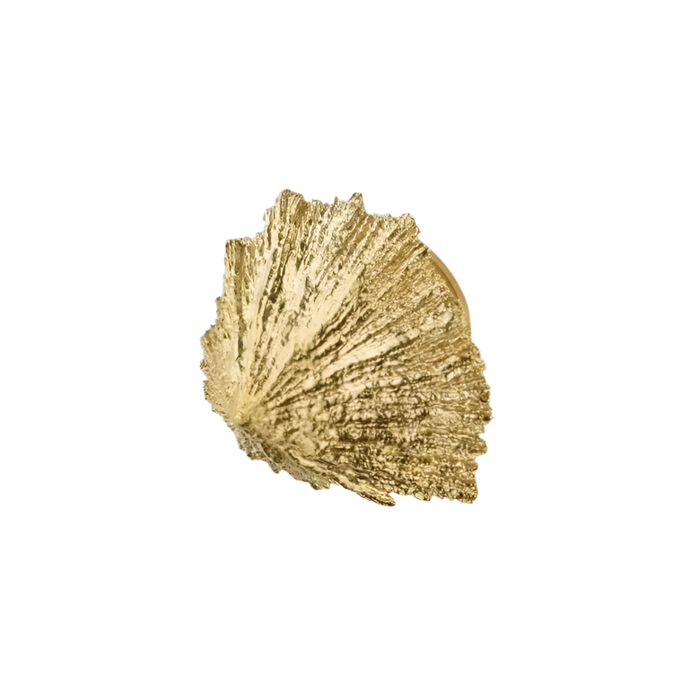 Limpet OC2049