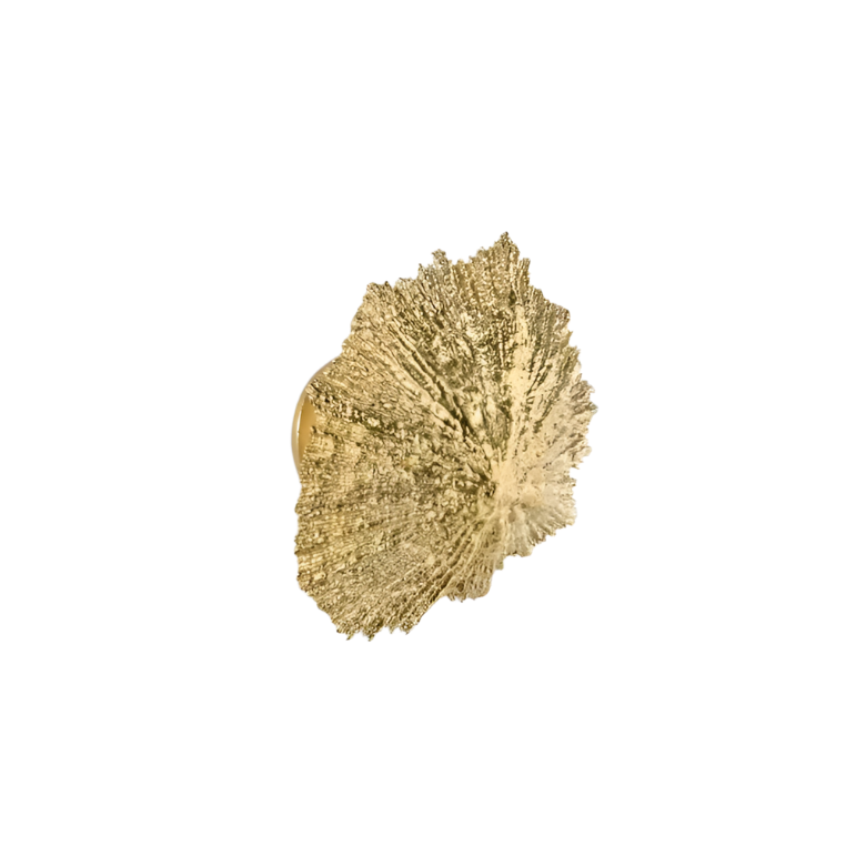 Limpet OC2049