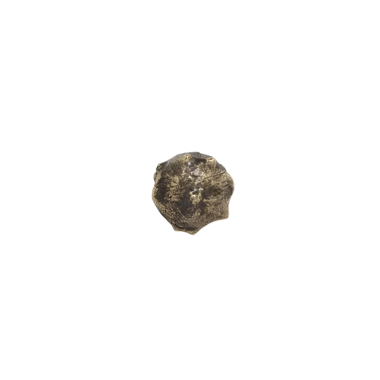 Oak EA1018