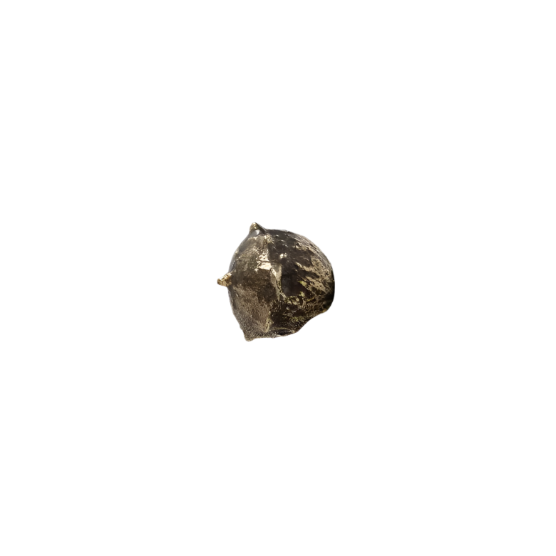 Oak EA1018