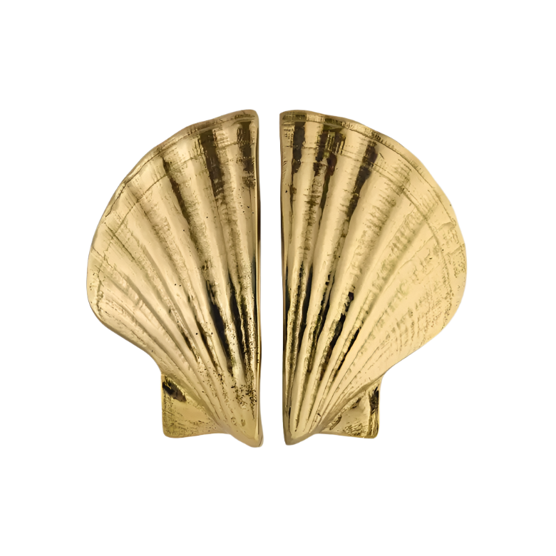 Seashell OC2039
