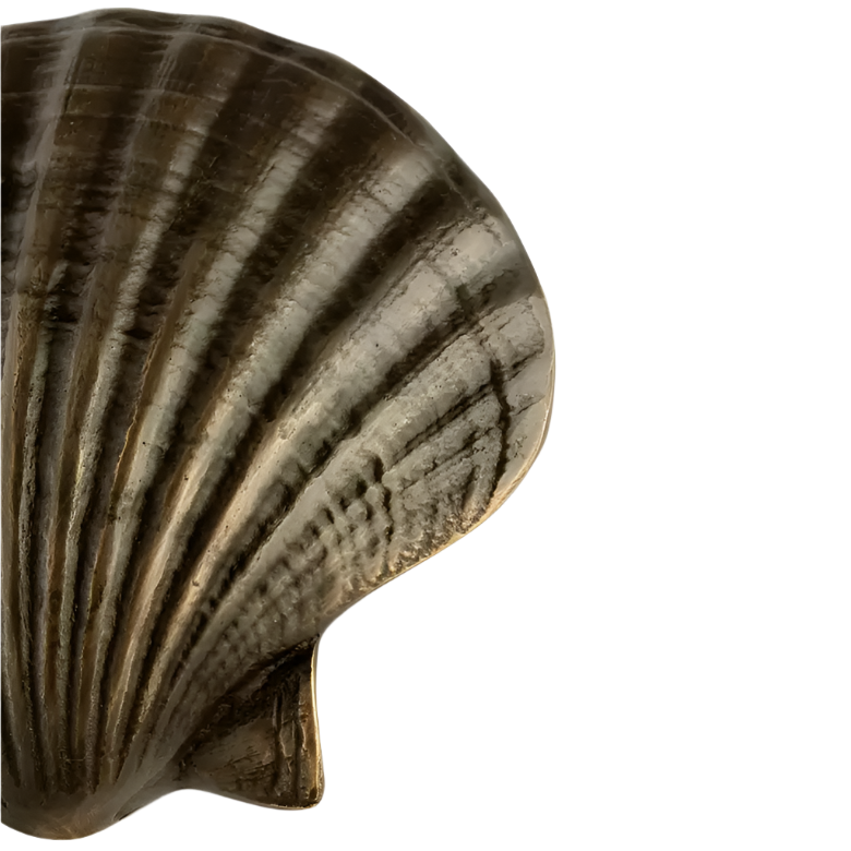 Seashell OC2040
