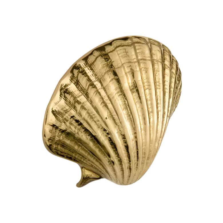 Seashell OC2040