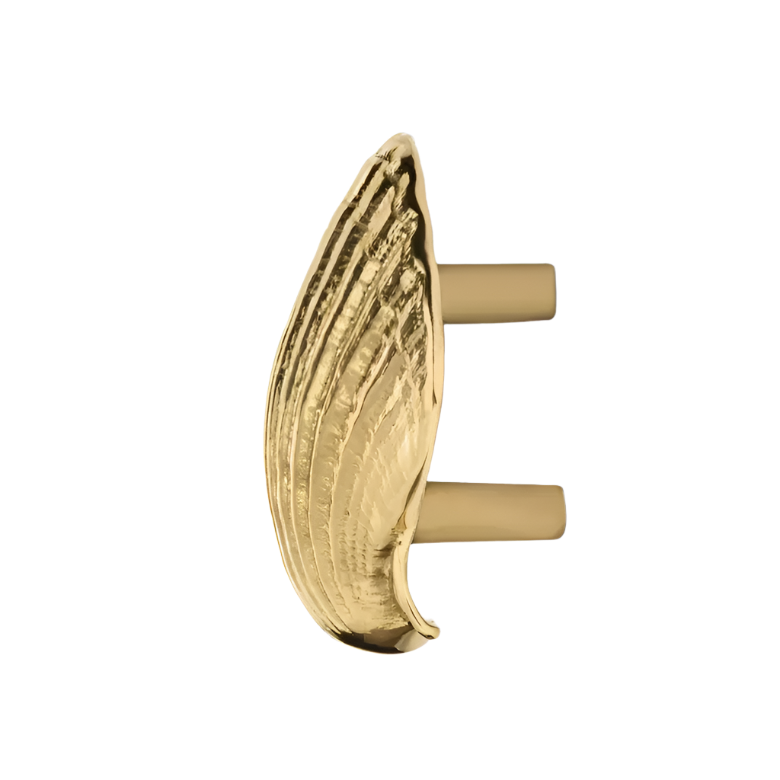 Seashell OC2040
