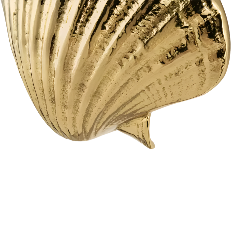 Seashell OC2040