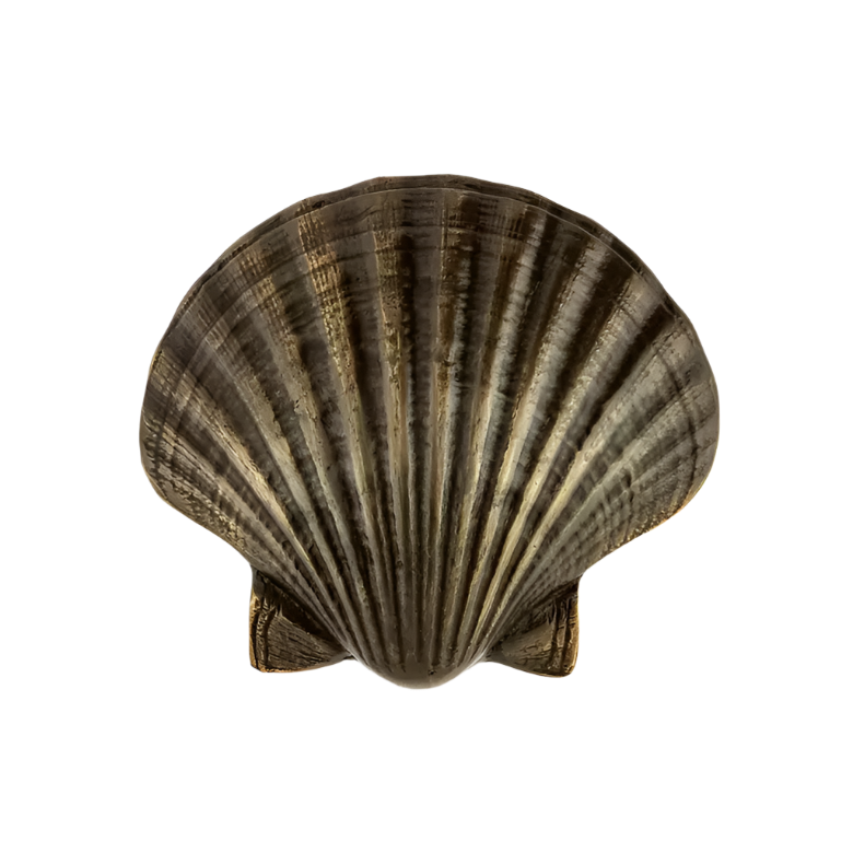 Seashell OC2040