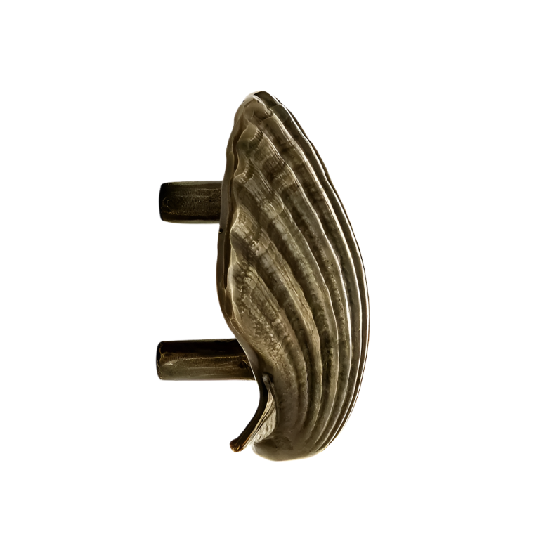 Seashell OC2040