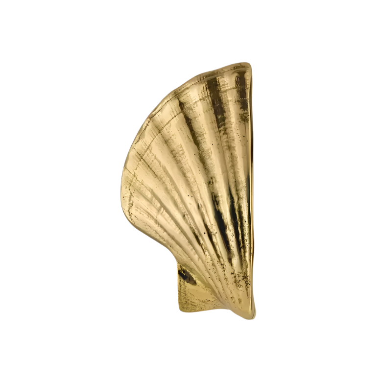Seashell OC2039
