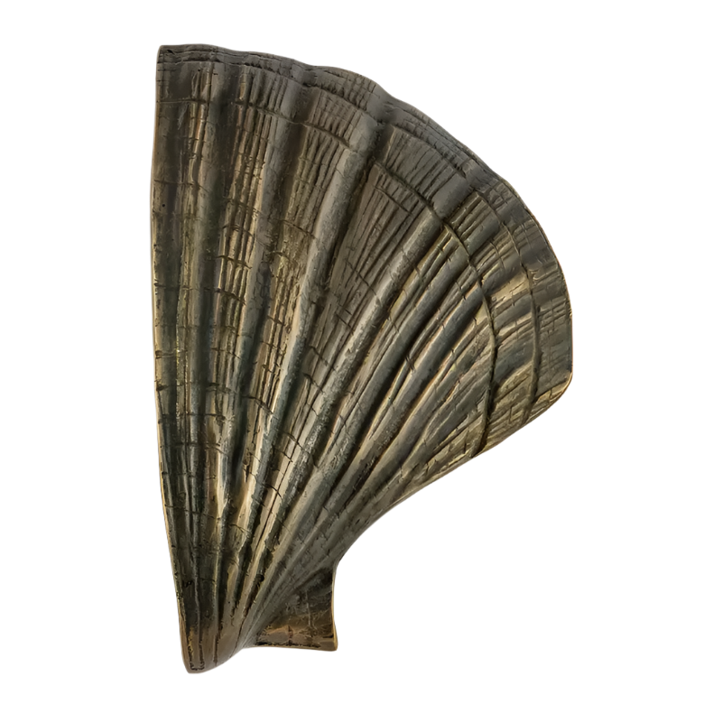 Seashell OC2041