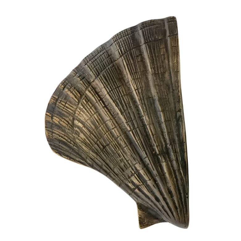 Seashell OC2041