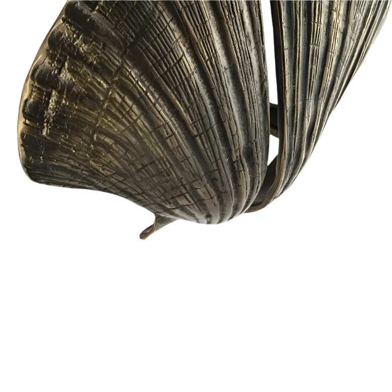 Seashell OC2041