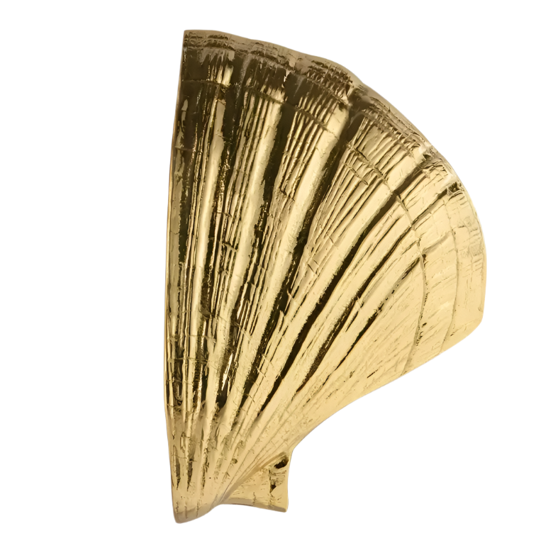 Seashell OC2041