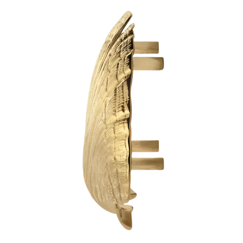 Seashell OC2041