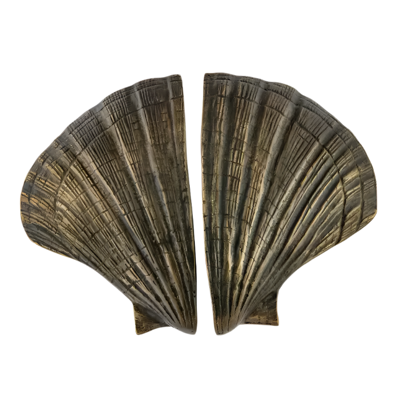 Seashell OC2041