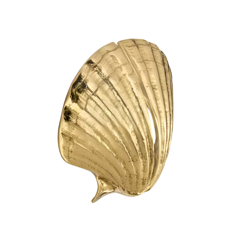 Seashell OC2039