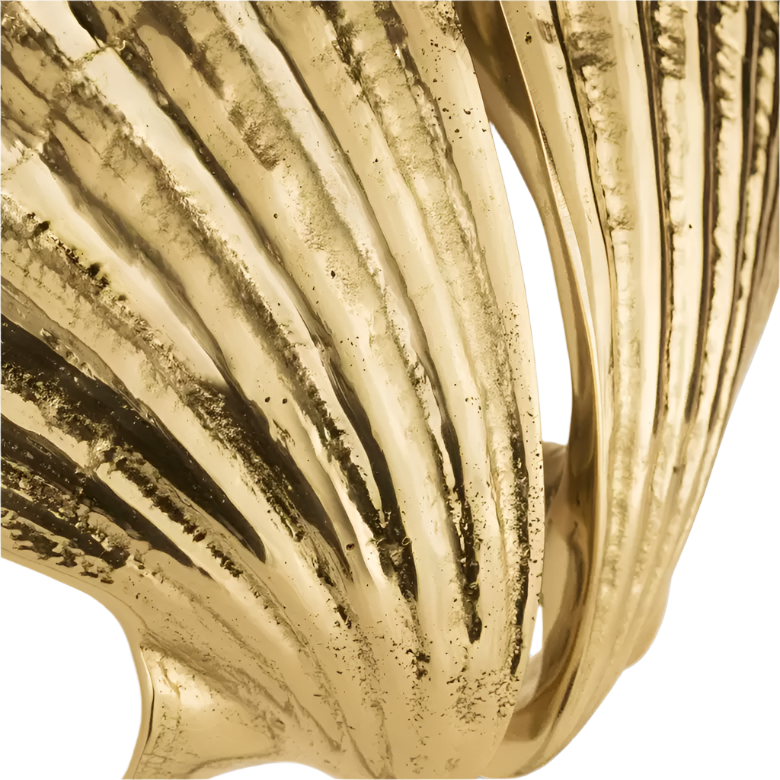 Seashell OC2039