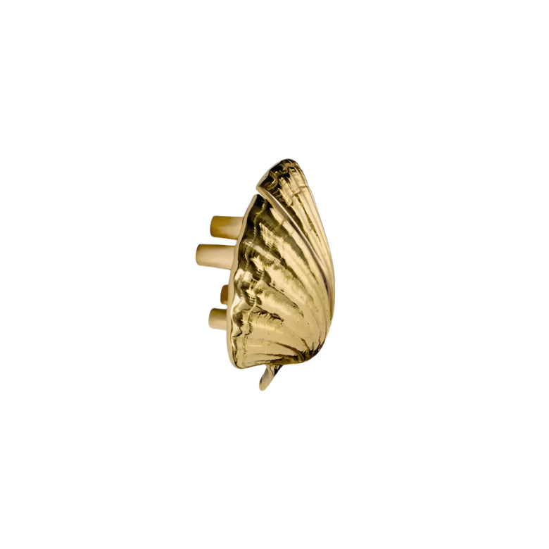 Seashell OC2039