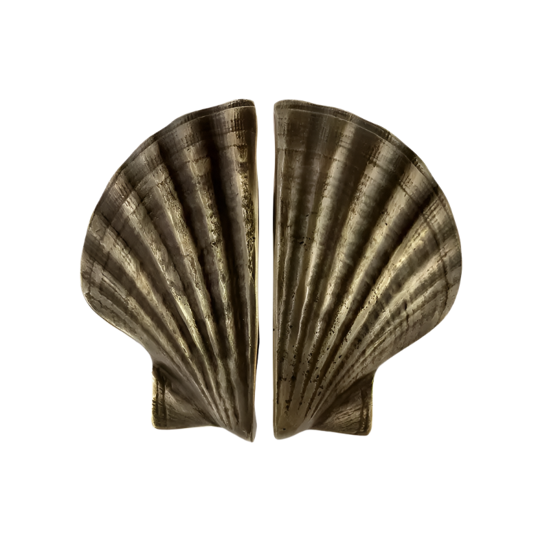Seashell OC2039