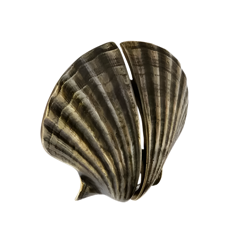 Seashell OC2039