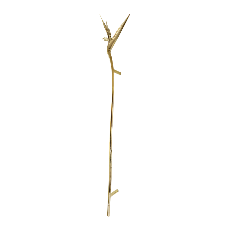 Strelitzia EA1061