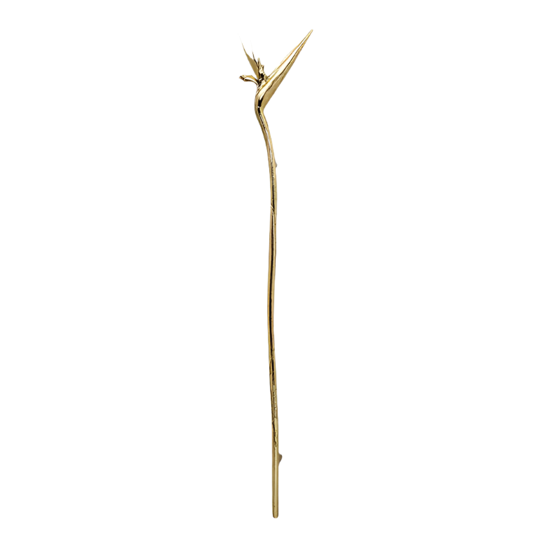 Strelitzia EA1061