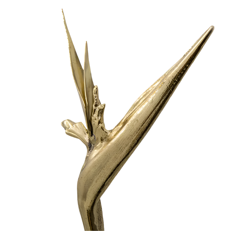 Strelitzia EA1061