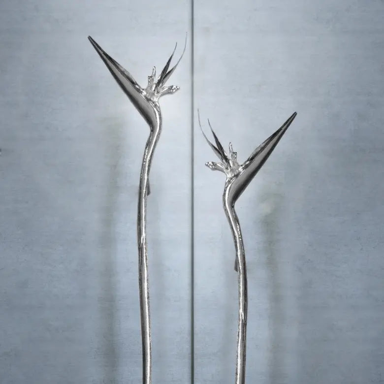 Strelitzia EA1061