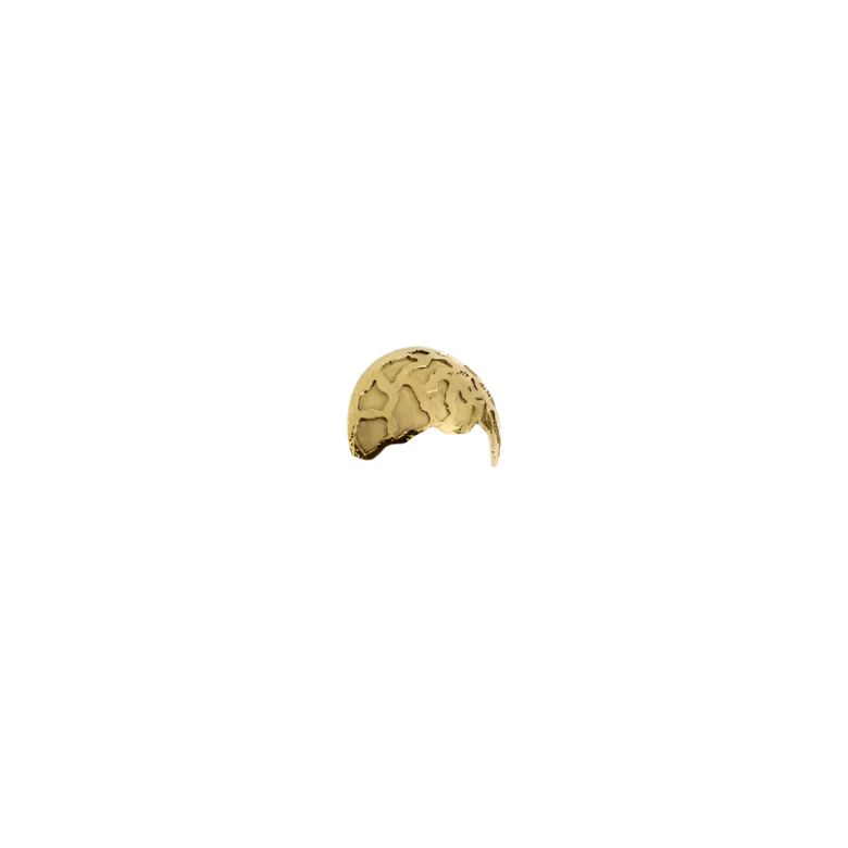 Turtle OC2021