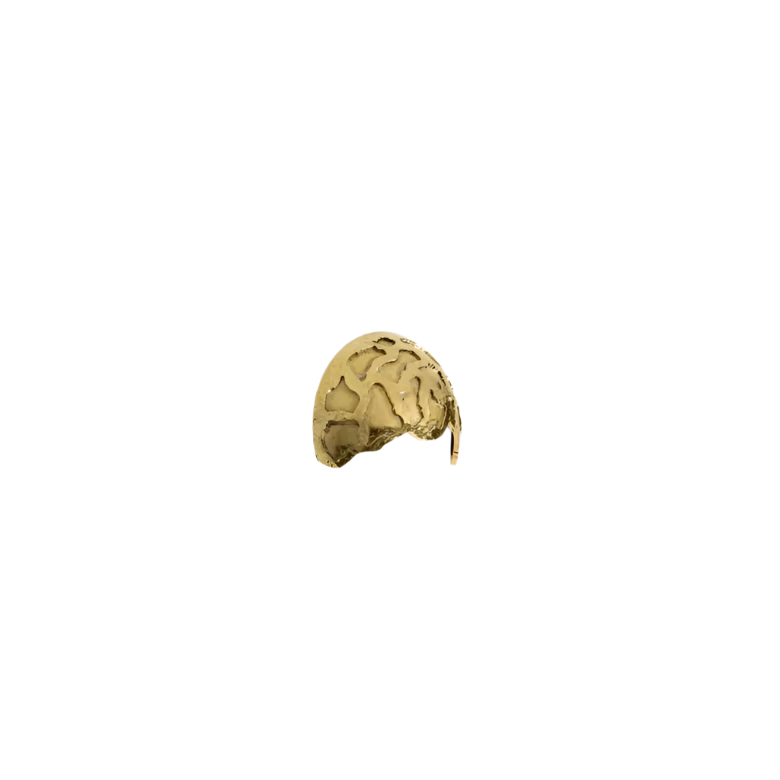 Turtle OC2021