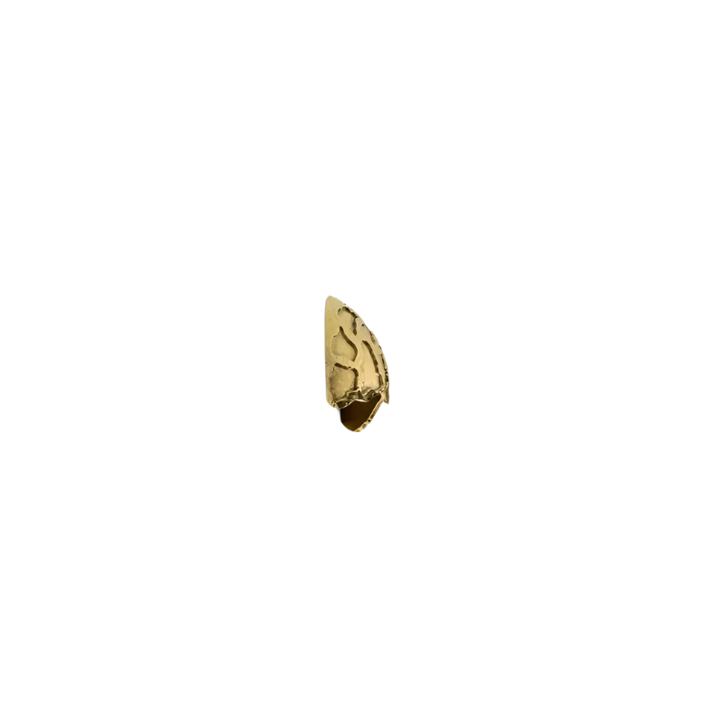 Turtle OC2021