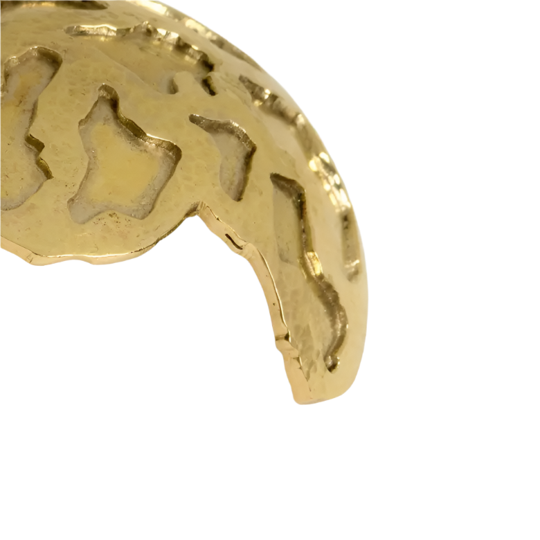 Turtle OC2021