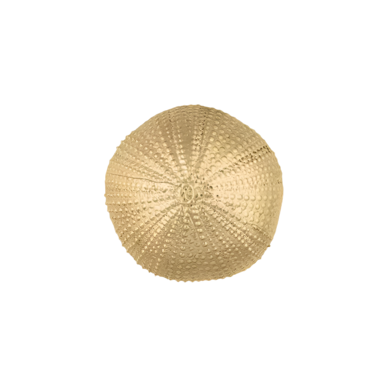 Urchin OC2046