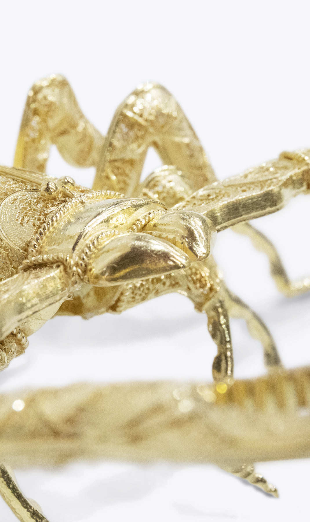 Filigree Scorpion Decor