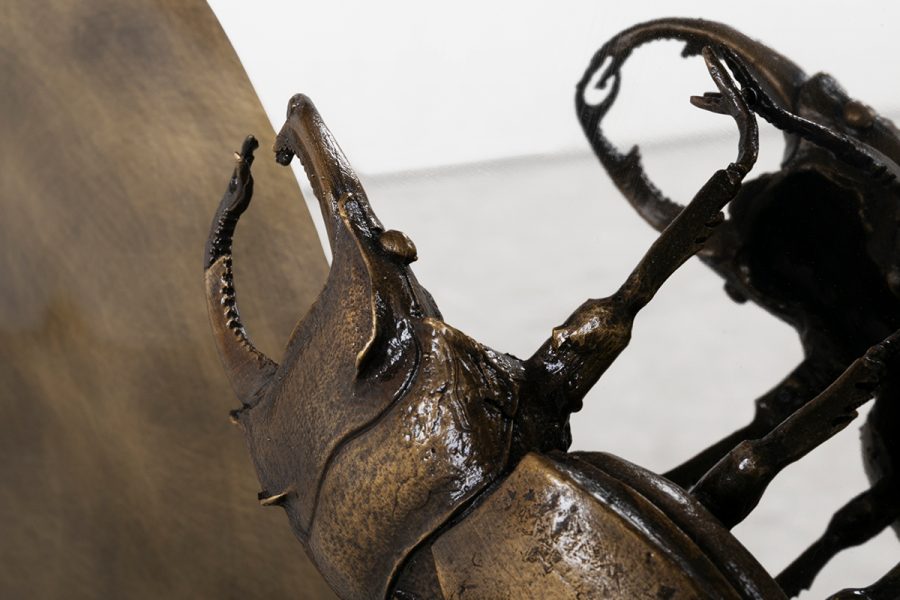 Metamorphosis Console