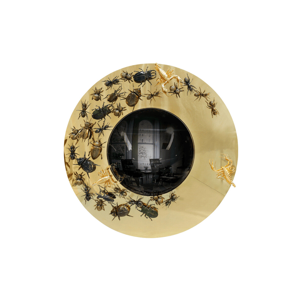 Convex Metamorphosis Mirror