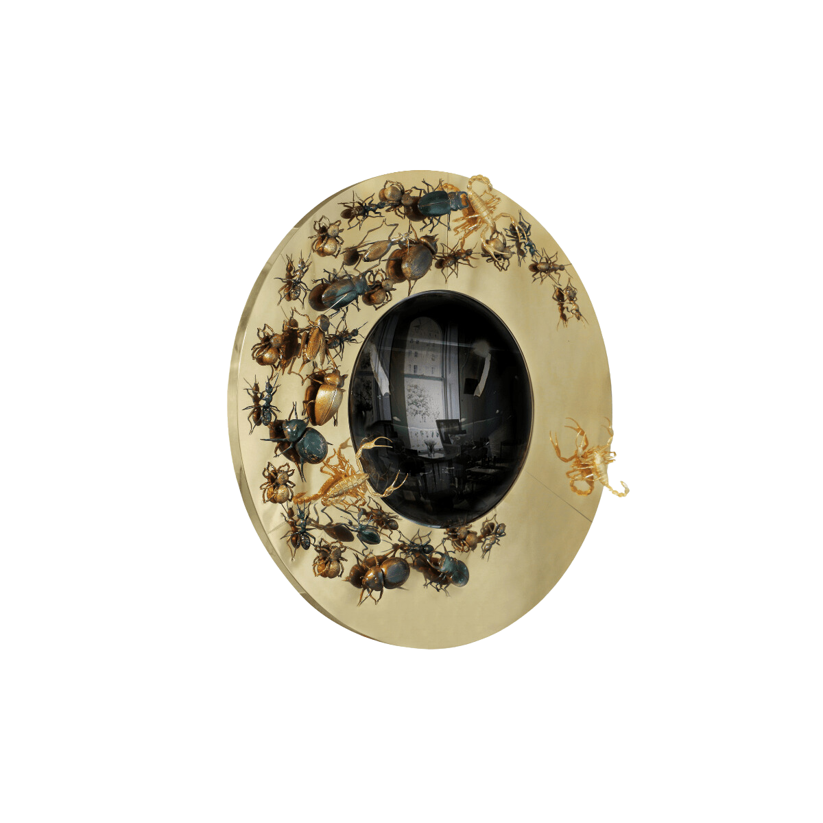 Convex Metamorphosis Mirror