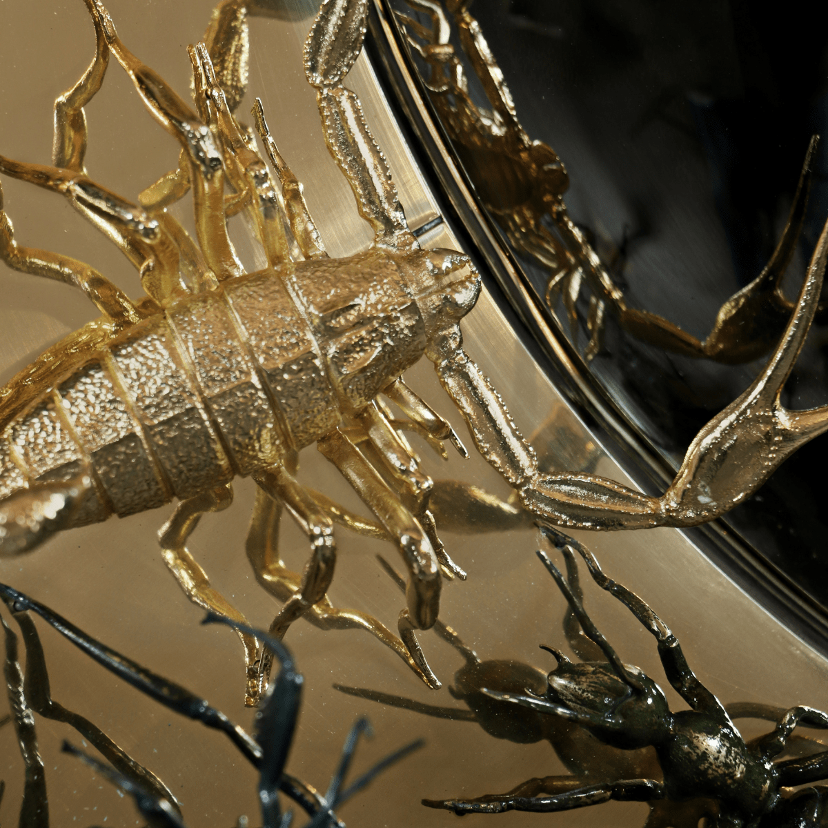 Convex Metamorphosis Mirror