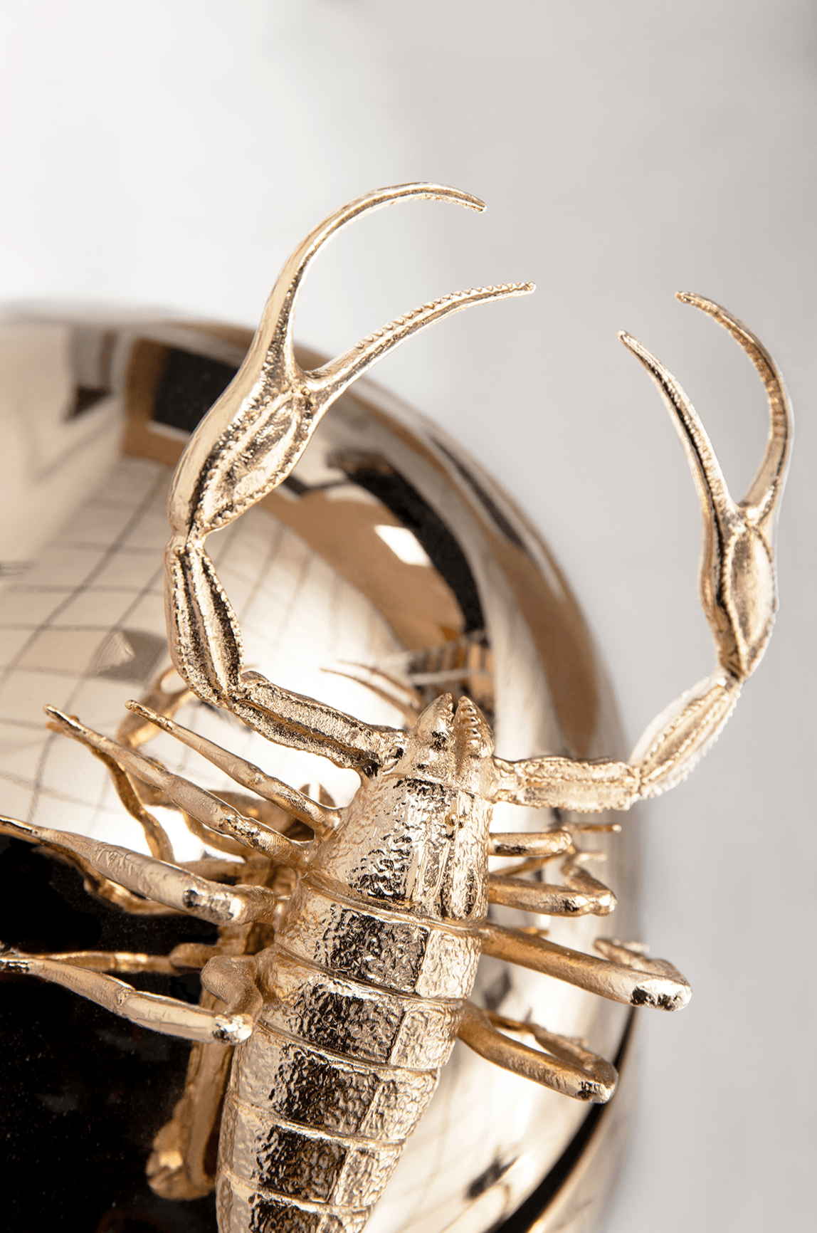 Metamorphosis Mirror