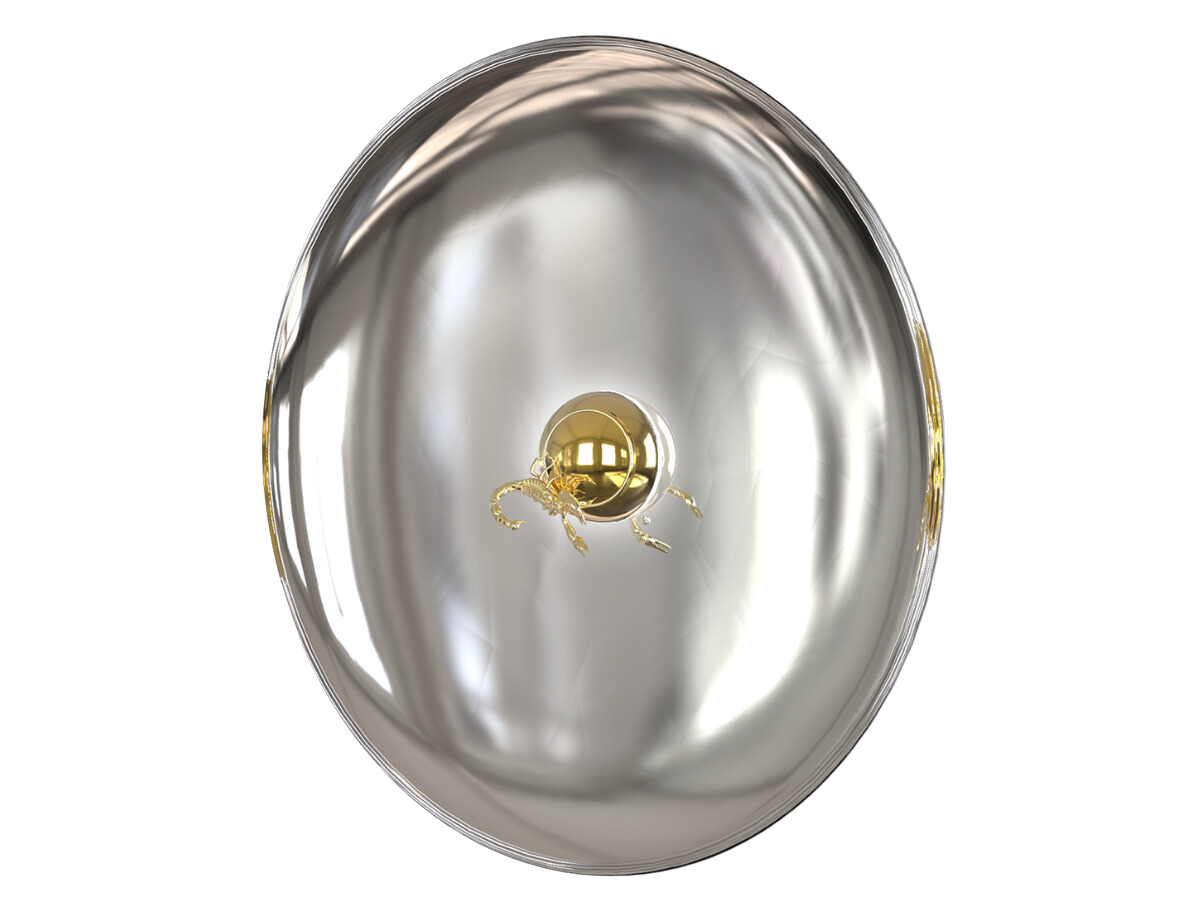 Metamorphosis Mirror