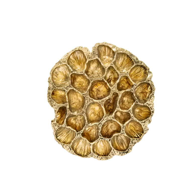 Comb EA1069